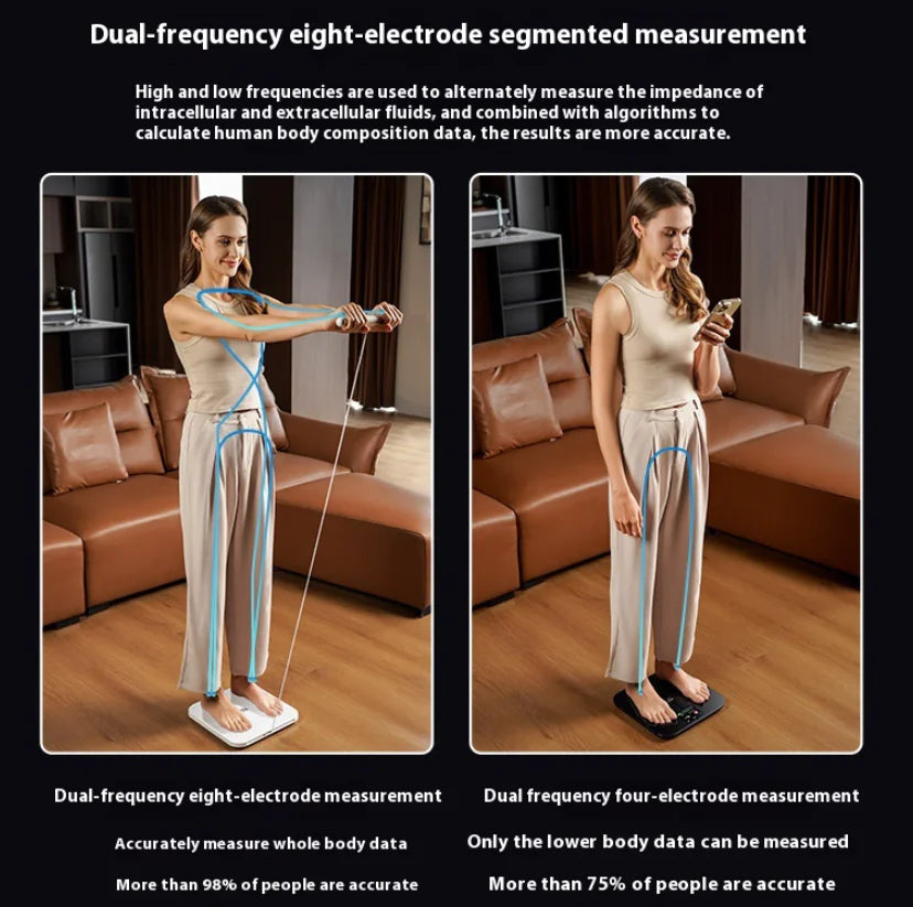 Smart Body Fat Scale